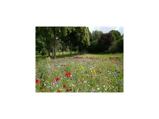 Holiday park Sarbinowo Environment 25