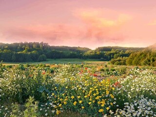 Ferienpark Sarbinowo  13