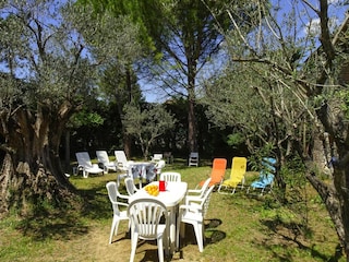 Holiday park Saint-Romain-en-Viennois Outdoor Recording 3