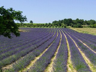 Holiday house Saint-Romain-en-Viennois Environment 14