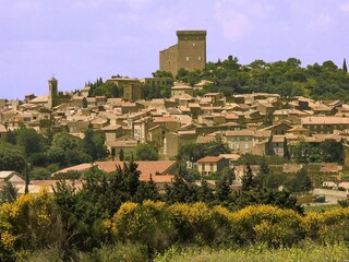 Ferienhaus Saint-Romain-en-Viennois Umgebung 16