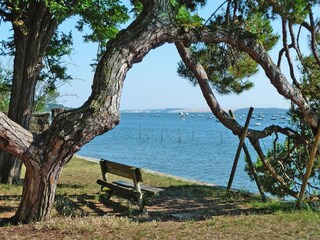 Holiday house Lège-Cap-Ferret  19