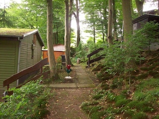 Ferienhaus Vöhl Umgebung 14