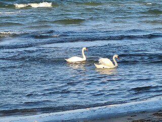 am Greifswalder Bodden