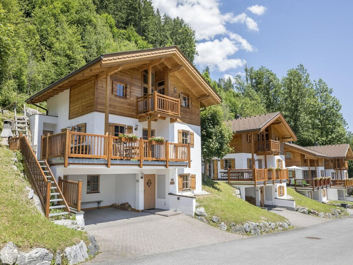 Ferienpark Wald im Pinzgau Außenaufnahme 1