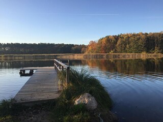 Vakantiehuis Luhme Omgeving 13