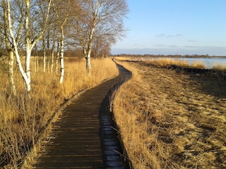Ewiges Meer