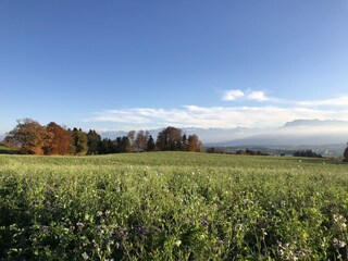 Sicht auf die Alpen von Hildisrieden aus gesehen