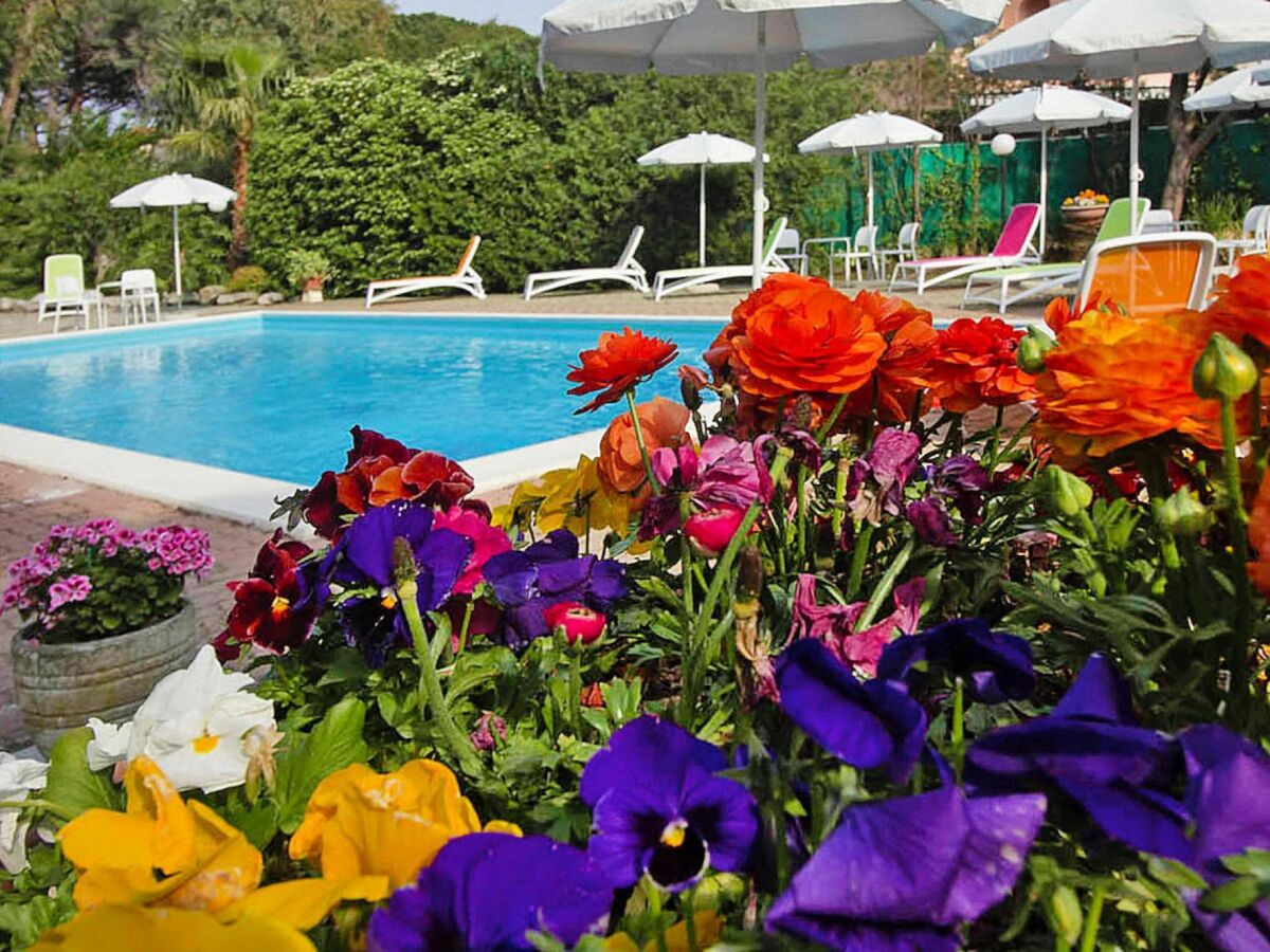 Parque de vacaciones Loano Grabación al aire libre 1