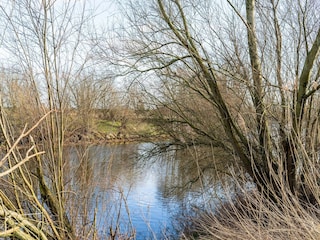 Vakantiehuis Biddinghuizen Omgeving 34