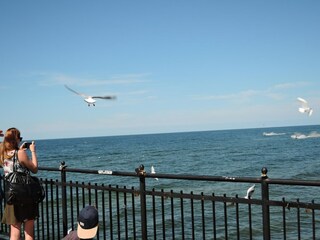 Appartamento Misdroy Ambiente 15