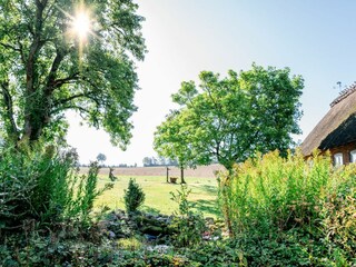 Üppiger Garten am Reethus Mühlenlund
