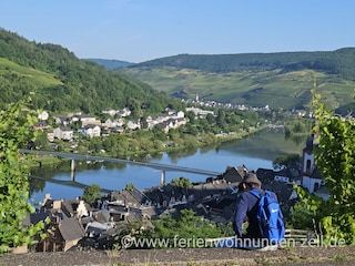 Wanderwege mit Aussicht rund um Zell