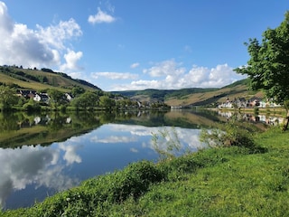 Moselrad-und Wanderweg nach  Zell