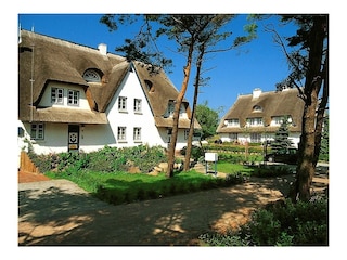 Ferienwohnung Zingst Außenaufnahme 4