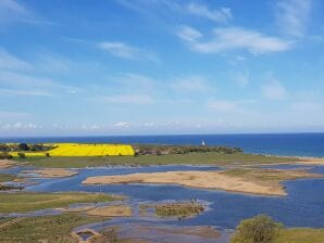 Ferienwohnung Austernfischer-H6