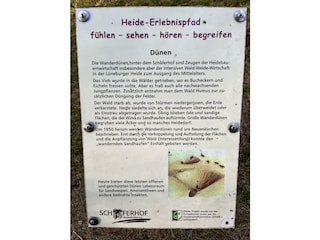 Heide-Erlebnispfad in Neuenkirchen