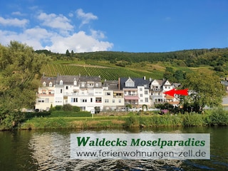 Waldecks Moselparadies ganz nah am Wasser gelegen