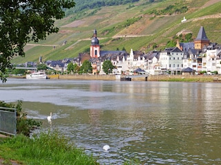 Holiday apartment Zell Mosel Environment 32