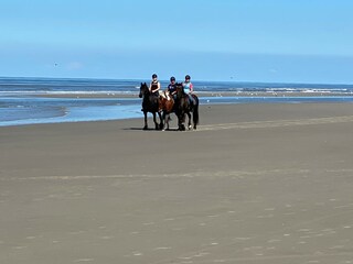 Casa per le vacanze Midsland Ambiente 24
