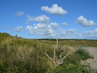 Casa per le vacanze Midsland Ambiente 11