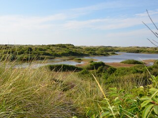Casa per le vacanze Midsland Ambiente 13