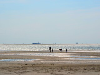 Casa per le vacanze Midsland Ambiente 15
