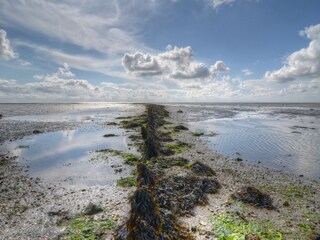 Casa per le vacanze Midsland Ambiente 16