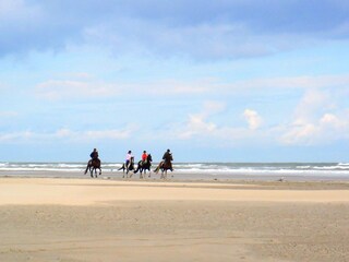 Casa per le vacanze Midsland Ambiente 18