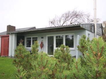 Ferienhaus Strandgut