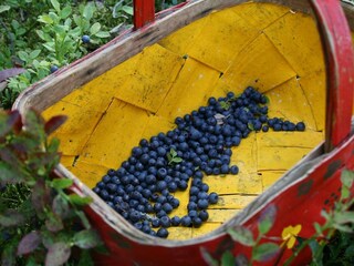 Holiday house Sysslebäck Outdoor Recording 4