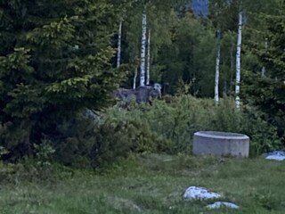 Vakantiehuis Sysslebäck Buitenaudio-opname 8