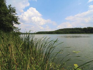 Ferienpark Templin Umgebung 11