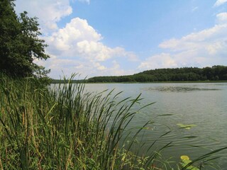 Ferienpark Templin Umgebung 17