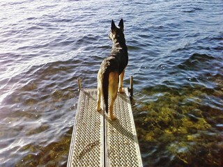 Vakantiehuis Perlin  12