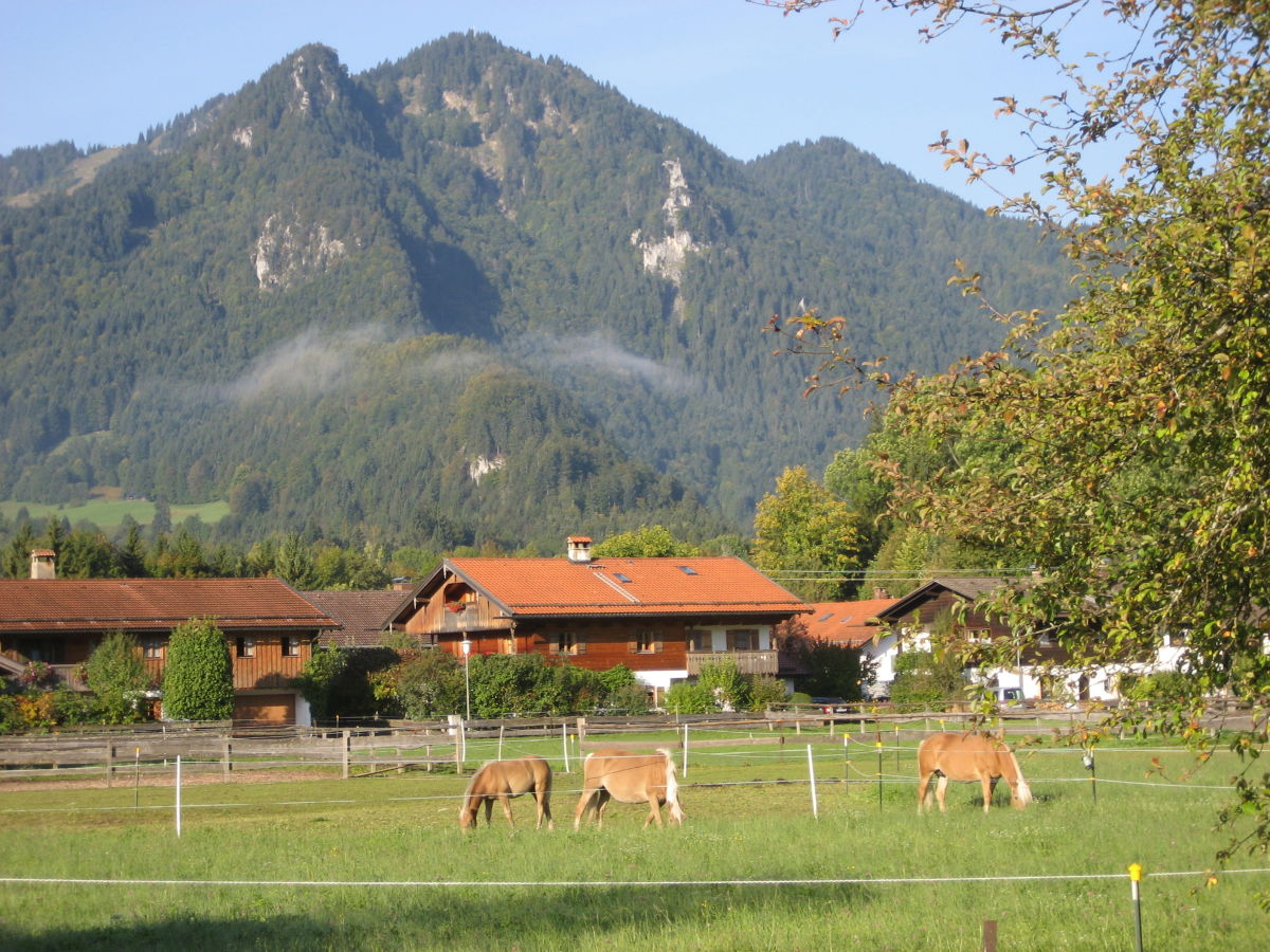 Blick vom Balkon der Ferienwohnung