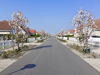 Noordzee Boulevard