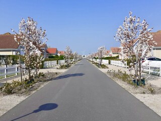 Vakantiehuis Kamperland Buitenaudio-opname 7