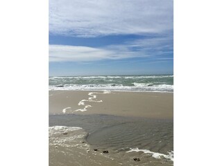 Vakantiehuis Kamperland Omgeving 35