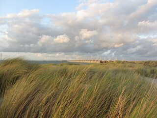 Dünen und Osterscheldekering am Banjaardstrand