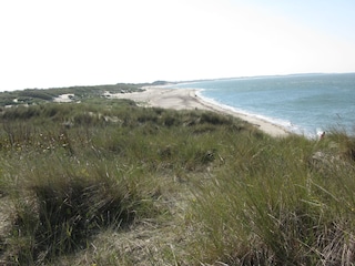 Dünen am endlosen Banjaardstrand