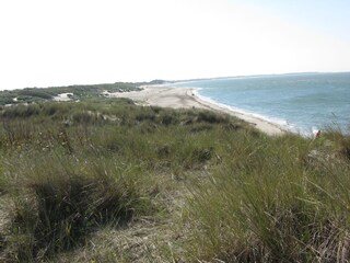 Vakantiehuis Kamperland Omgeving 37