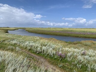 Natur vor Hooge Hörn