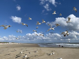 Flugbetrieb am Südstrand