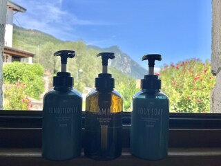 bathroom - view