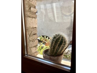 Wohnzimmer - Fenster