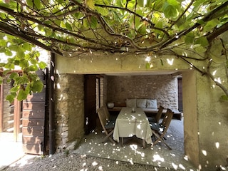 yard