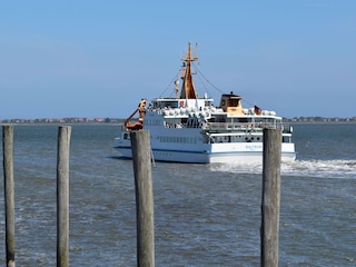 Hafen