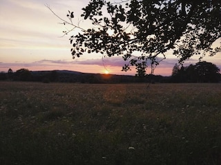 Holiday park Manhay Environment 15