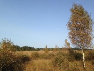 Parco vacanze Manhay Ambiente 16